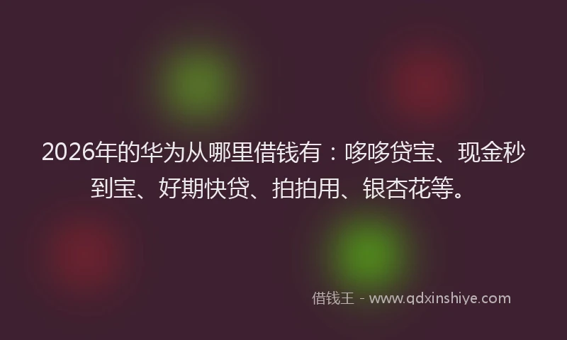2026年的华为从哪里借钱有:哆哆贷宝、现金秒到宝、好期快贷、拍拍用、银杏花等。
