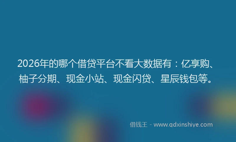 2026年的哪个借贷平台不看大数据有：亿享购、柚子分期、现金小站、现金闪贷、星辰钱包等。
