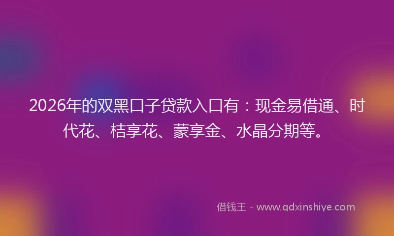 2026年的双黑口子贷款入口有：现金易借通、时代花、桔享花、蒙享金、水晶分期等。