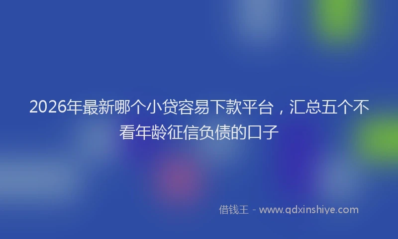 2026年最新哪个小贷容易下款平台，汇总五个不看年龄征信负债的口子