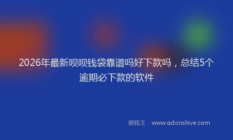 2026年最新呗呗钱袋靠谱吗好下款吗,总结5个逾期必下款的软件