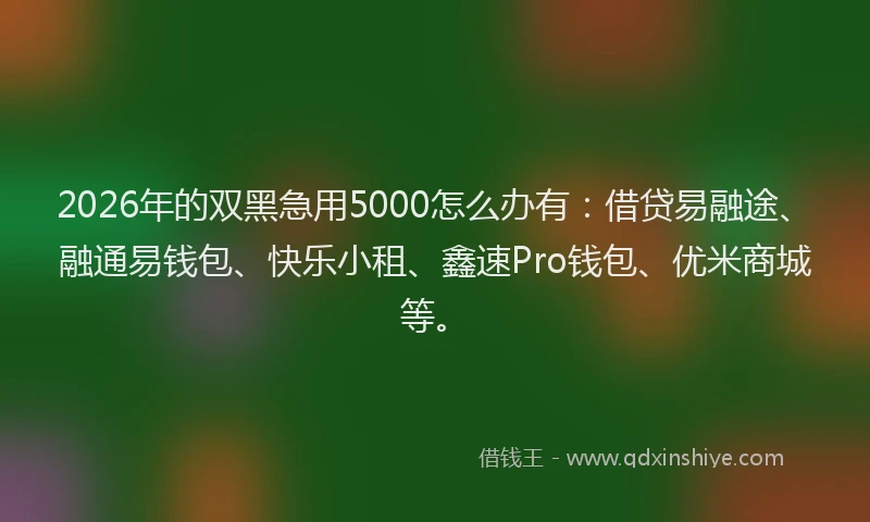 2026年的双黑急用5000怎么办有：借贷易融途、融通易钱包、快乐小租、鑫速Pro钱包、优米商城等。