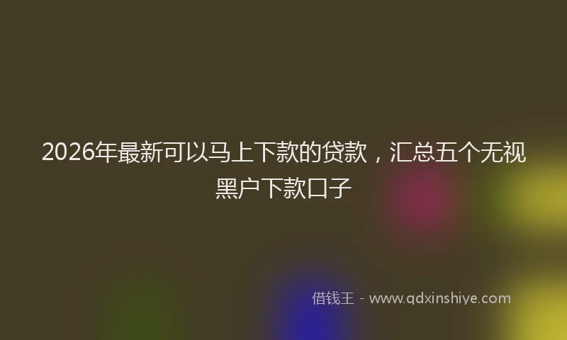 2026年最新可以马上下款的贷款，汇总五个无视黑户下款口子