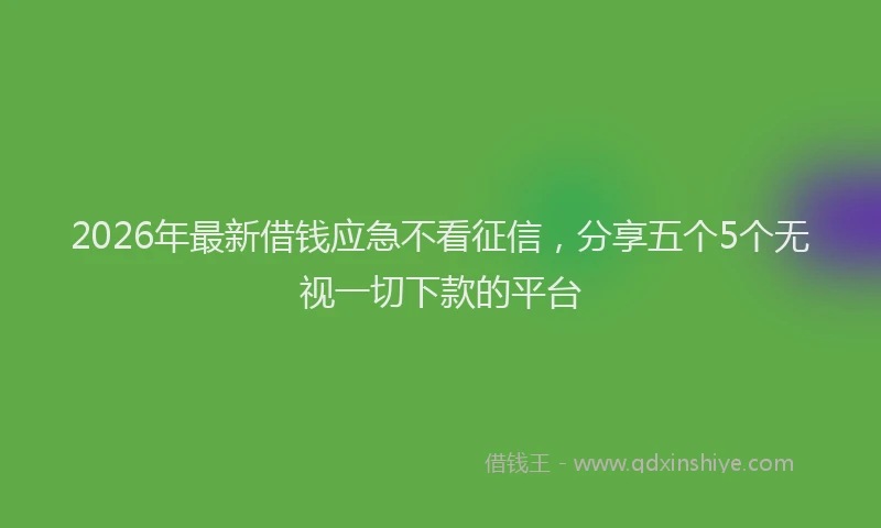 2026年最新借钱应急不看征信,分享五个5个无视一切下款的平台