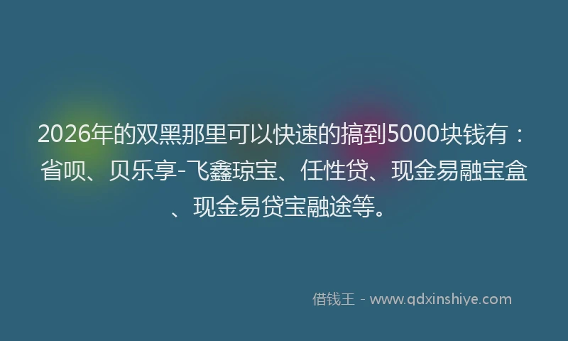 2026年的双黑那里可以快速的搞到5000块钱有：省呗、贝乐享-飞鑫琼宝、任性贷、现金易融宝盒、现金易贷宝融途等。