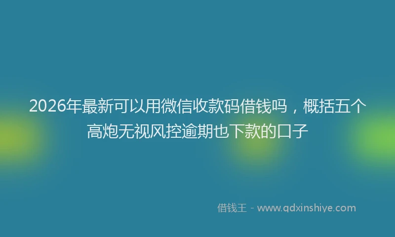 2026年最新可以用微信收款码借钱吗,概括五个高炮无视风控逾期也下款的口子