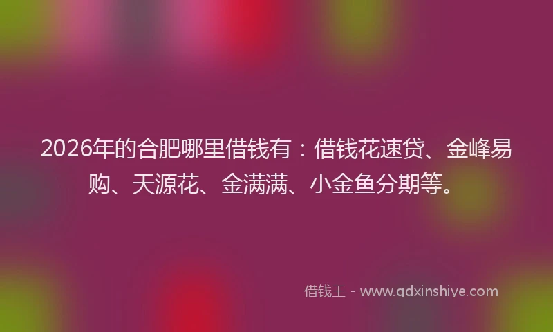 2026年的合肥哪里借钱有:借钱花速贷、金峰易购、天源花、金满满、小金鱼分期等。