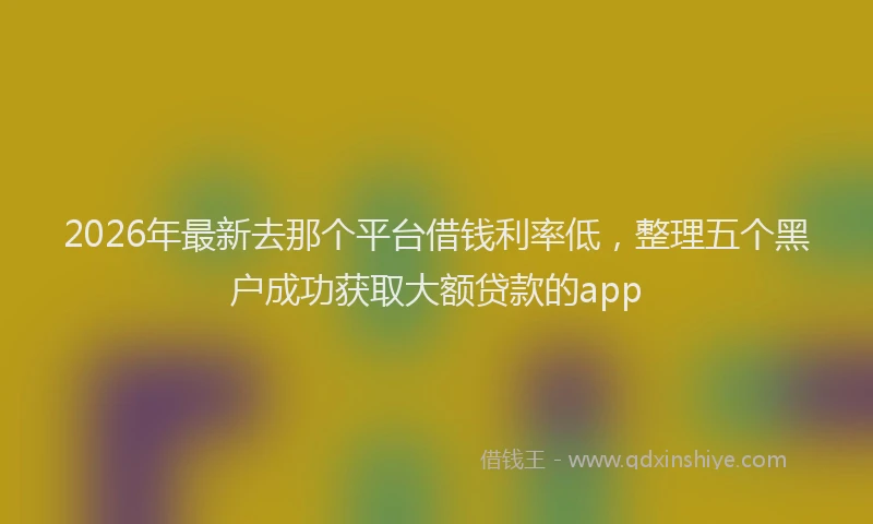 2026年最新去那个平台借钱利率低，整理五个黑户成功获取大额贷款的app