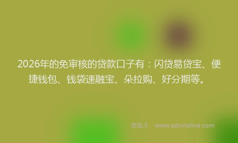 2026年的免审核的贷款口子有：闪贷易贷宝、便捷钱包、钱袋速融宝、朵拉购、好分期等。