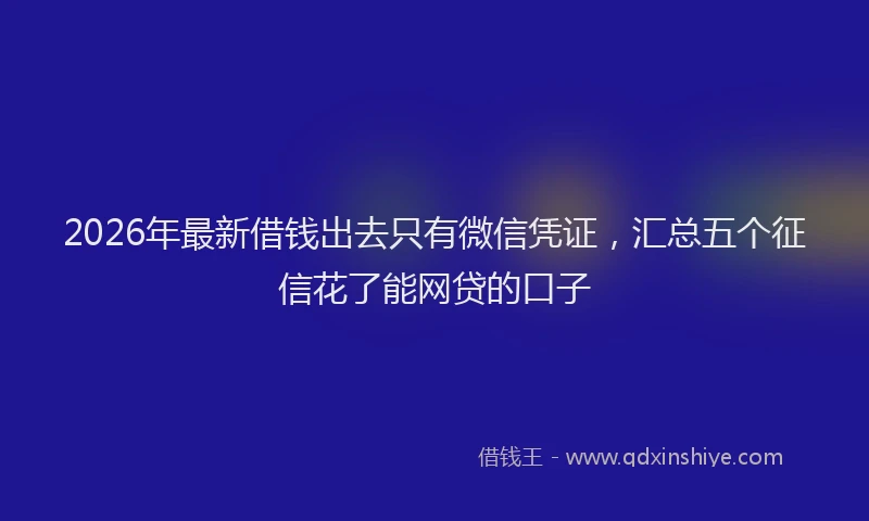 2026年最新借钱出去只有微信凭证，汇总五个征信花了能网贷的口子