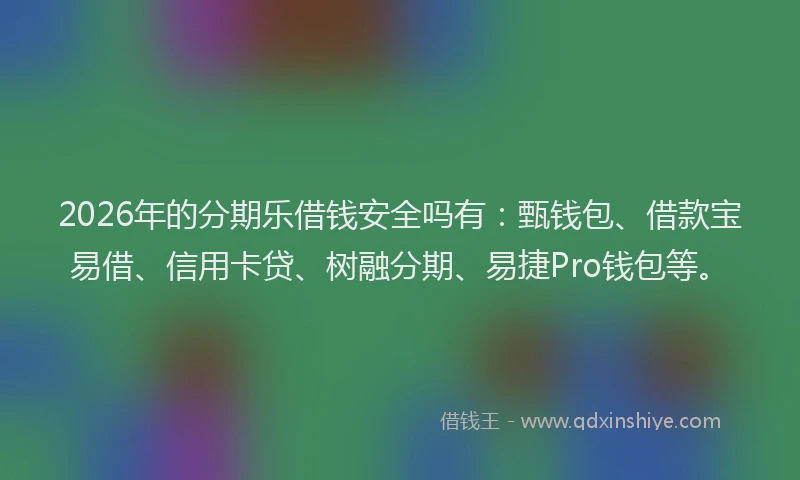 2026年的分期乐借钱安全吗有：甄钱包、借款宝易借、信用卡贷、树融分期、易捷Pro钱包等。