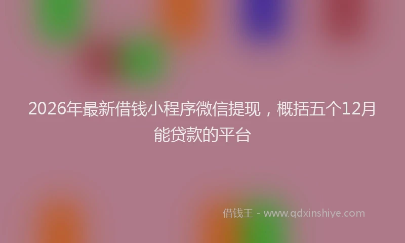 2026年最新借钱小程序微信提现，概括五个12月能贷款的平台