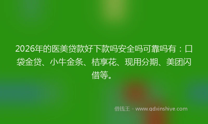 2026年的医美贷款好下款吗安全吗可靠吗有:口袋金贷、小牛金条、桔享花、现用分期、美团闪借等。