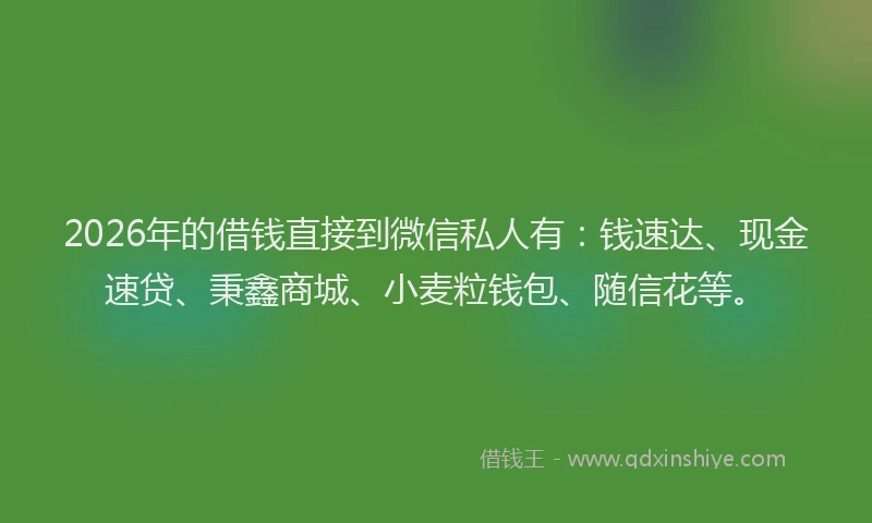 2026年的借钱直接到微信私人有：钱速达、现金速贷、秉鑫商城、小麦粒钱包、随信花等。