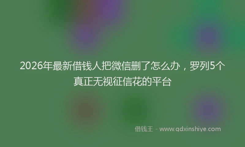 2026年最新借钱人把微信删了怎么办,罗列5个真正无视征信花的平台