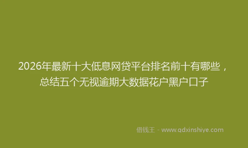 2026年最新十大低息网贷平台排名前十有哪些,总结五个无视逾期大数据花户黑户口子