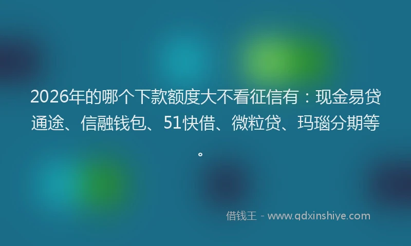 2026年的哪个下款额度大不看征信有：现金易贷通途、信融钱包、51快借、微粒贷、玛瑙分期等。