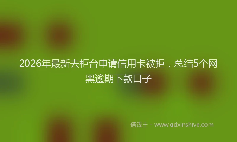 2026年最新去柜台申请信用卡被拒，总结5个网黑逾期下款口子