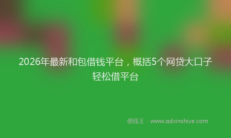 2026年最新和包借钱平台，概括5个网贷大口子轻松借平台