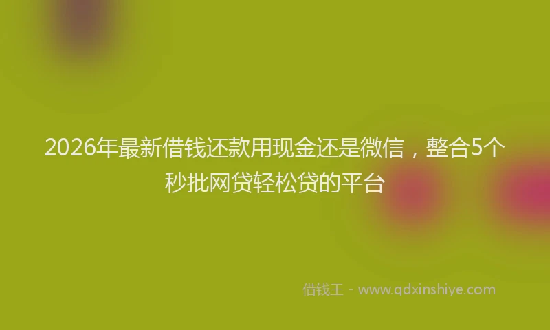 2026年最新借钱还款用现金还是微信,整合5个秒批网贷轻松贷的平台