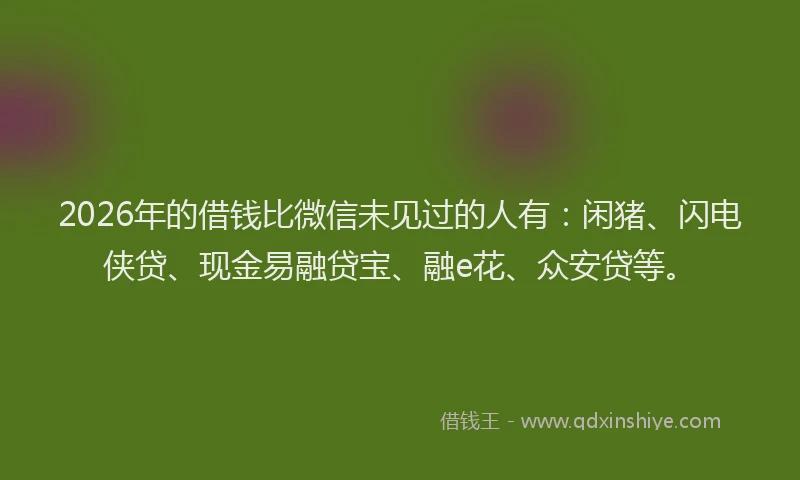 2026年的借钱比微信未见过的人有:闲猪、闪电侠贷、现金易融贷宝、融e花、众安贷等。