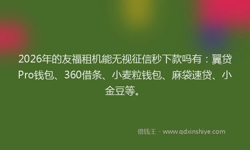 2026年的友福租机能无视征信秒下款吗有：翼贷Pro钱包、360借条、小麦粒钱包、麻袋速贷、小金豆等。