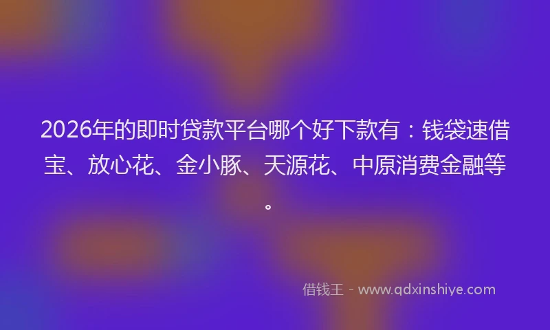 2026年的即时贷款平台哪个好下款有:钱袋速借宝、放心花、金小豚、天源花、中原消费金融等。