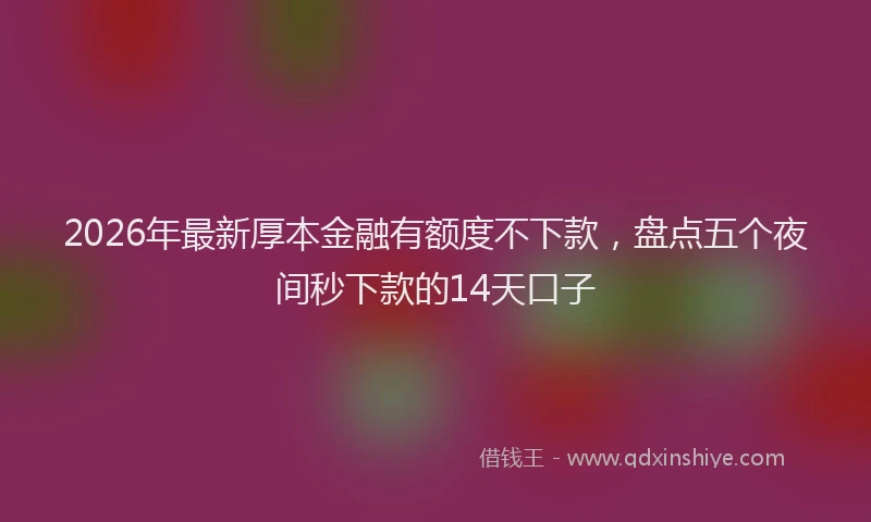 2026年最新厚本金融有额度不下款,盘点五个夜间秒下款的14天口子