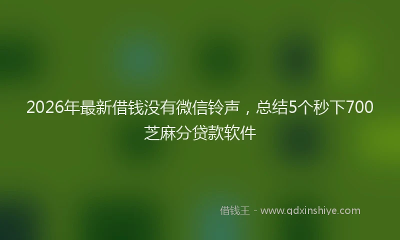 2026年最新借钱没有微信铃声，总结5个秒下700芝麻分贷款软件