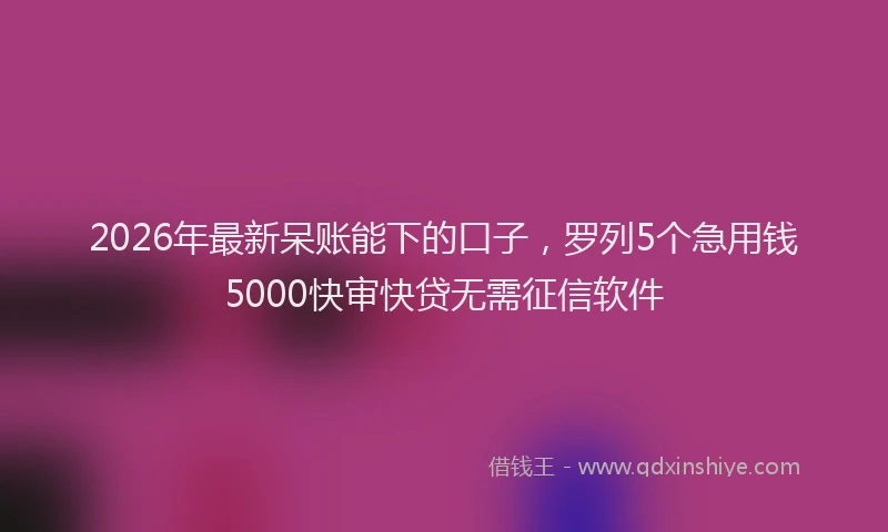 2026年最新呆账能下的口子，罗列5个急用钱5000快审快贷无需征信软件