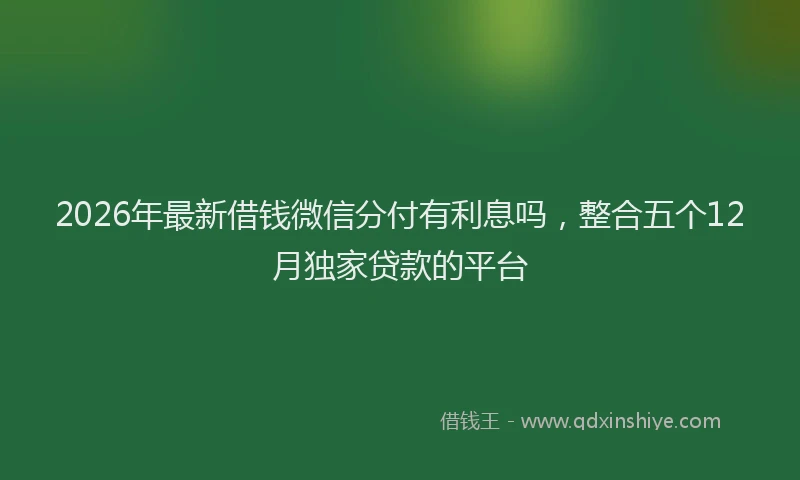 2026年最新借钱微信分付有利息吗，整合五个12月独家贷款的平台