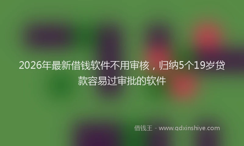 2026年最新借钱软件不用审核，归纳5个19岁贷款容易过审批的软件