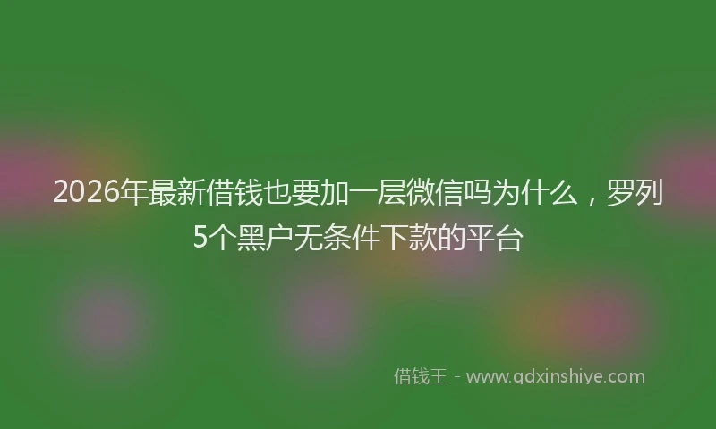 2026年最新借钱也要加一层微信吗为什么,罗列5个黑户无条件下款的平台