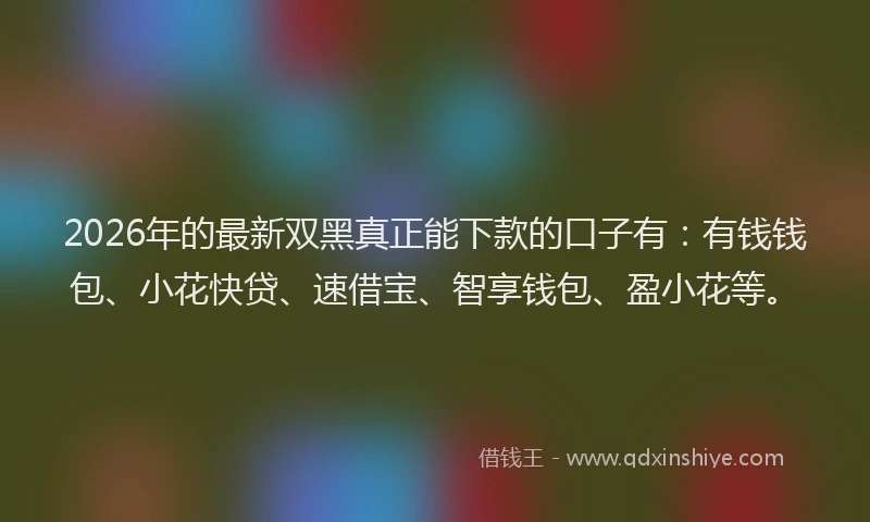 2026年的最新双黑真正能下款的口子有：有钱钱包、小花快贷、速借宝、智享钱包、盈小花等。