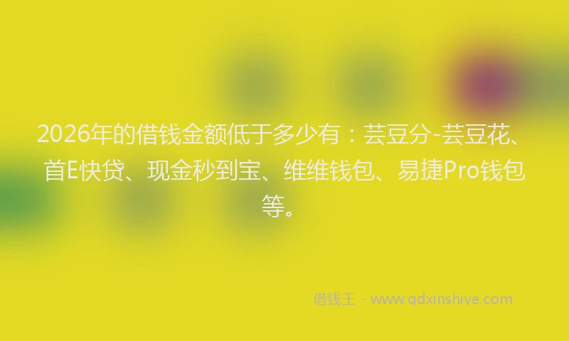 2026年的借钱金额低于多少有：芸豆分-芸豆花、首E快贷、现金秒到宝、维维钱包、易捷Pro钱包等。