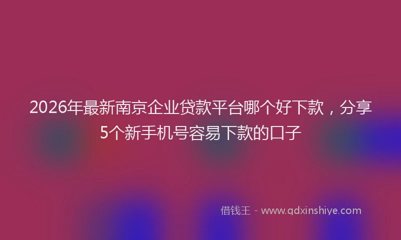 2026年最新南京企业贷款平台哪个好下款，分享5个新手机号容易下款的口子