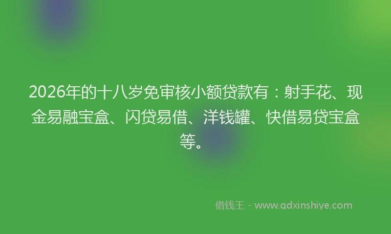 2026年的十八岁免审核小额贷款有：射手花、现金易融宝盒、闪贷易借、洋钱罐、快借易贷宝盒等。