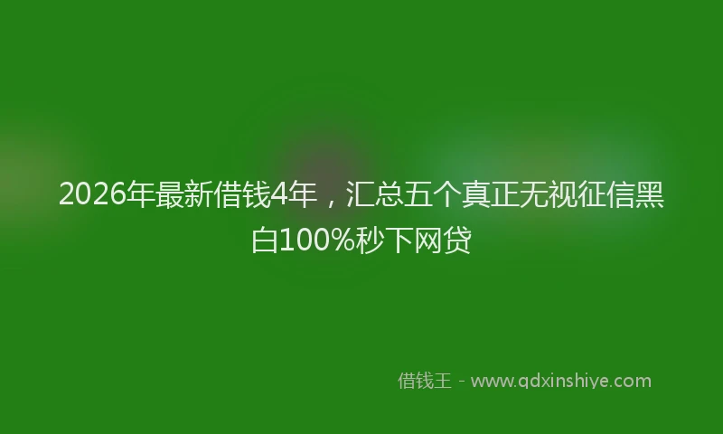2026年最新借钱4年，汇总五个真正无视征信黑白100%秒下网贷
