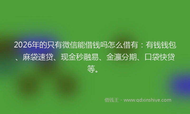 2026年的只有微信能借钱吗怎么借有:有钱钱包、麻袋速贷、现金秒融易、金瀛分期、口袋快贷等。