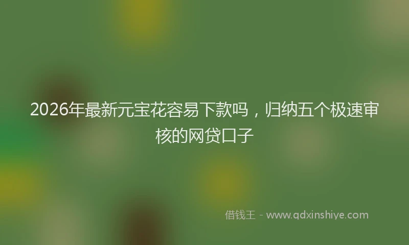 2026年最新元宝花容易下款吗，归纳五个极速审核的网贷口子