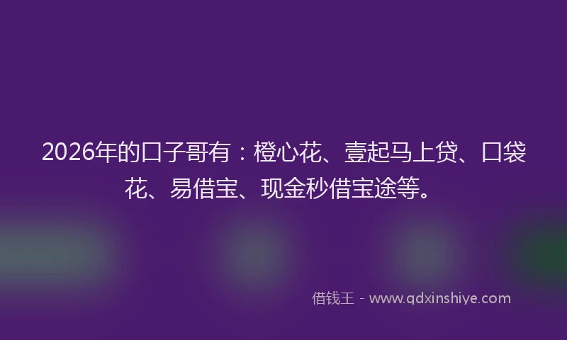 2026年的口子哥有：橙心花、壹起马上贷、口袋花、易借宝、现金秒借宝途等。