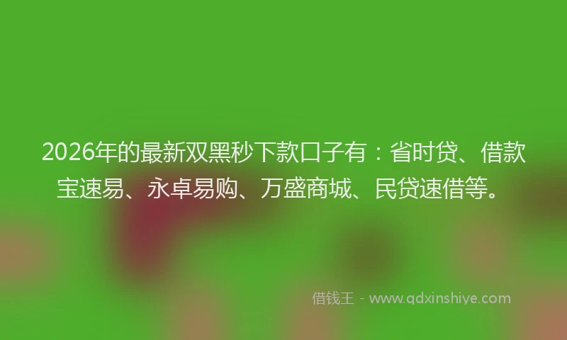 2026年的最新双黑秒下款口子有：省时贷、借款宝速易、永卓易购、万盛商城、民贷速借等。