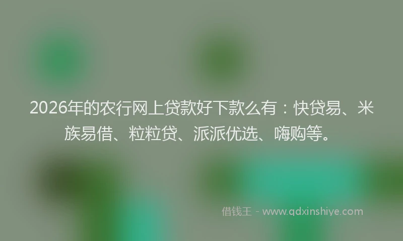 2026年的农行网上贷款好下款么有：快贷易、米族易借、粒粒贷、派派优选、嗨购等。