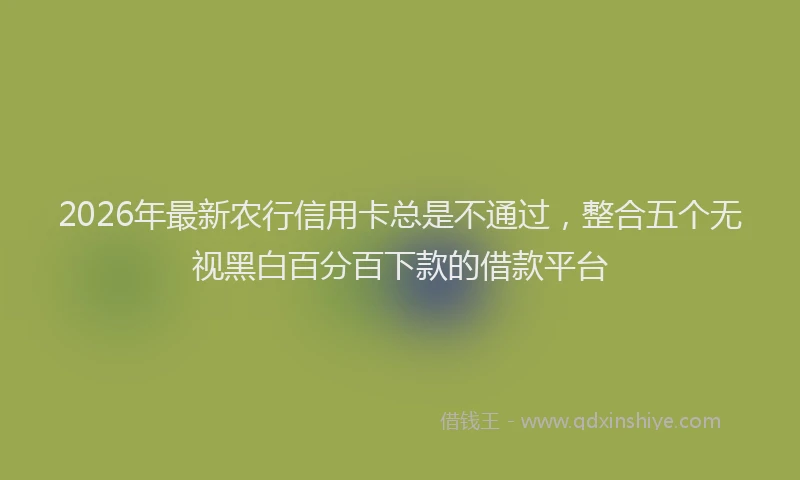 2026年最新农行信用卡总是不通过,整合五个无视黑白百分百下款的借款平台
