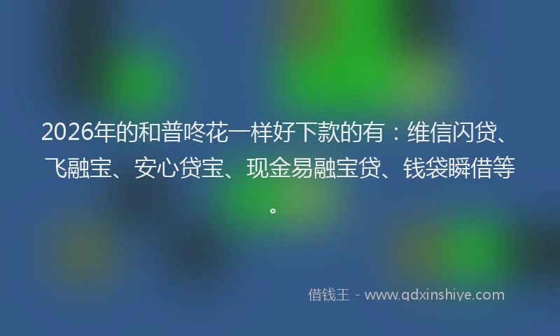 2026年的和普咚花一样好下款的有:维信闪贷、飞融宝、安心贷宝、现金易融宝贷、钱袋瞬借等。