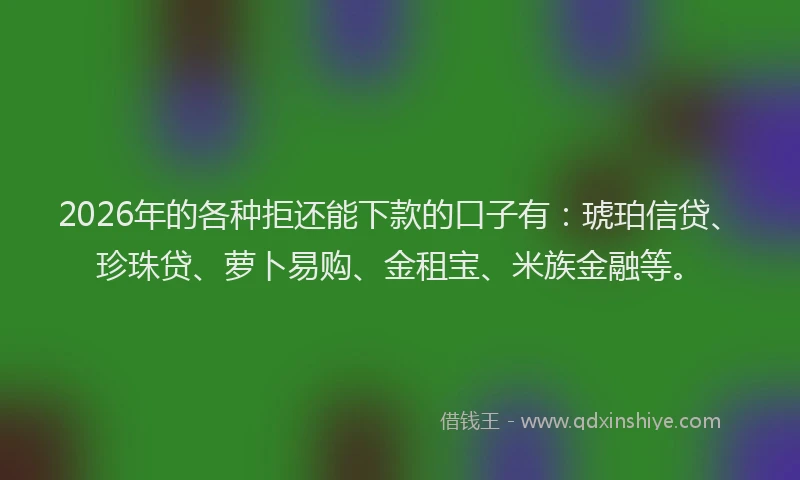 2026年的各种拒还能下款的口子有：琥珀信贷、珍珠贷、萝卜易购、金租宝、米族金融等。