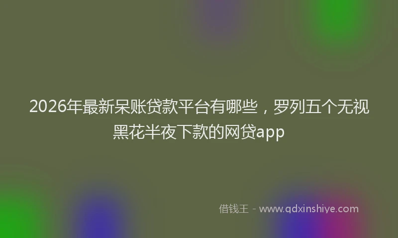 2026年最新呆账贷款平台有哪些，罗列五个无视黑花半夜下款的网贷app