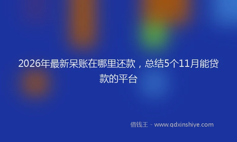2026年最新呆账在哪里还款，总结5个11月能贷款的平台