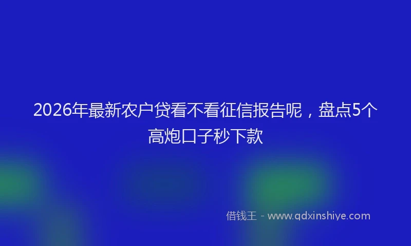 2026年最新农户贷看不看征信报告呢，盘点5个高炮口子秒下款