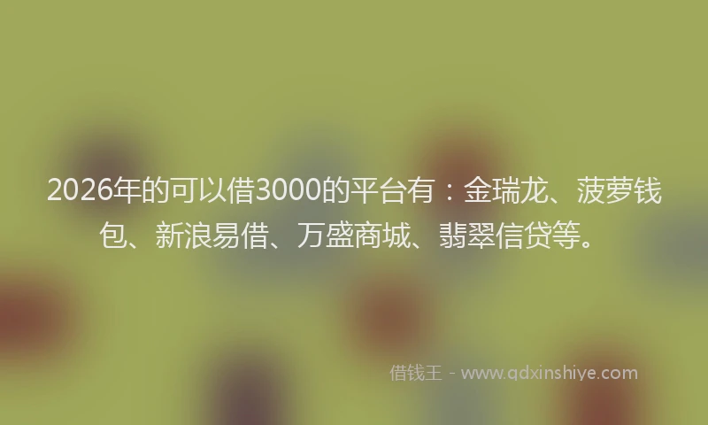 2026年的可以借3000的平台有：金瑞龙、菠萝钱包、新浪易借、万盛商城、翡翠信贷等。